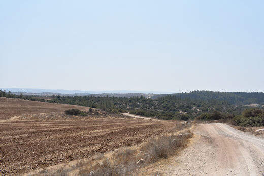 טיול שטח סאנגיונג רקסטון